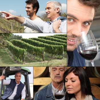 Collage of winemakers, wine and vineyards