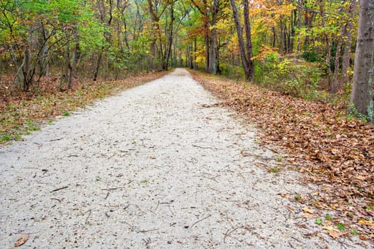 A wide path or road in the woods. It is late autumn and the leaves have turned colors and are falling off the trees.