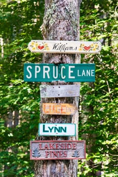 Street signs and family home signs nailed to a tree on a country road