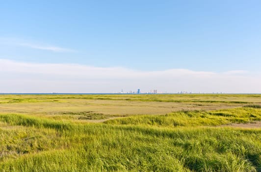 The Atlantic City, New Jersey skyline. The foreground is a marsh with green grass (Forsythe Nature Reserve).