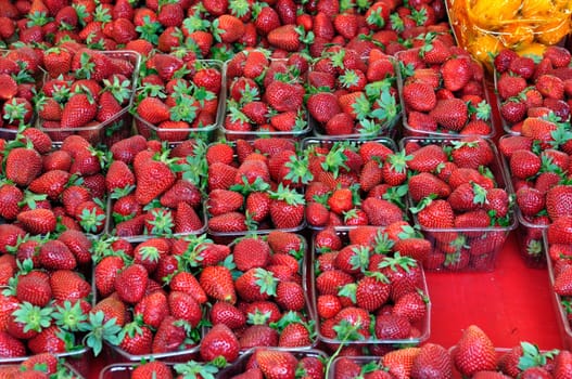 Ripe strawberries in plastic crates at grocery store. Fruit background.