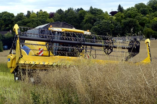 The harvest of colza with machines like a reaping-machine threshing-machine and tractor