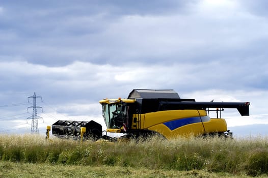 The harvest of colza with machines like a reaping-machine threshing-machine and tractor