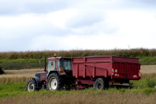 The harvest of colza with machines like a reaping-machine threshing-machine and tractor