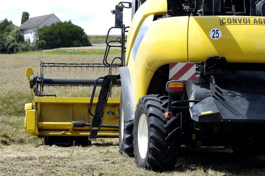 The harvest of colza with machines like a reaping-machine threshing-machine and tractor