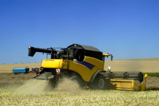 The harvest of colza with machines like a reaping-machine threshing-machine and tractor