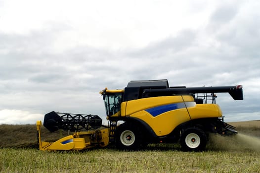 The harvest of colza with machines like a reaping-machine threshing-machine and tractor