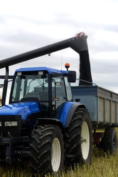 The harvest of colza with machines like a reaping-machine threshing-machine and tractor