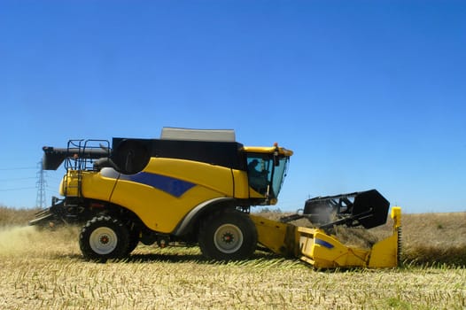 The harvest of colza with machines like a reaping-machine threshing-machine and tractor