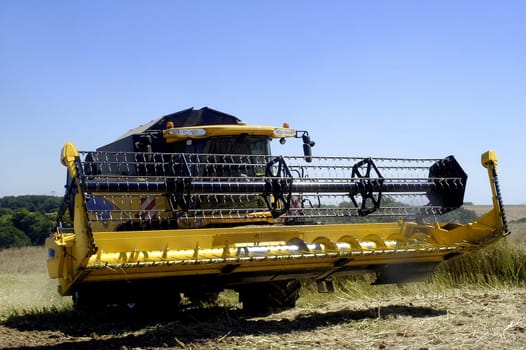 The harvest of colza with machines like a reaping-machine threshing-machine and tractor