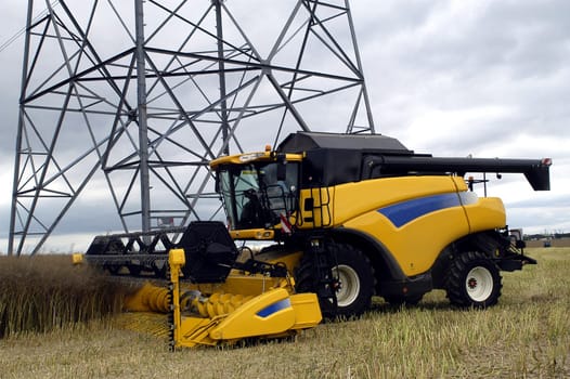 The harvest of colza with machines like a reaping-machine threshing-machine and tractor