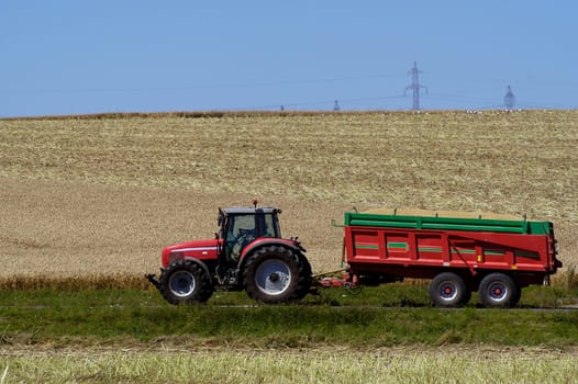 The harvest of colza with machines like a reaping-machine threshing-machine and tractor