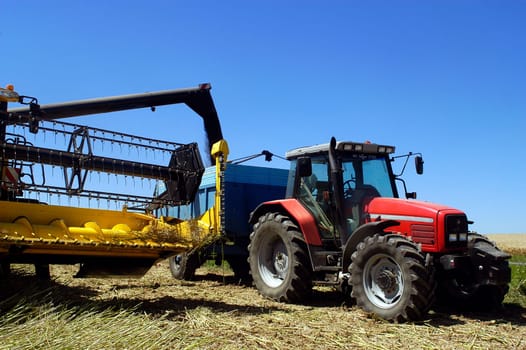 The harvest of colza with machines like a reaping-machine threshing-machine and tractor