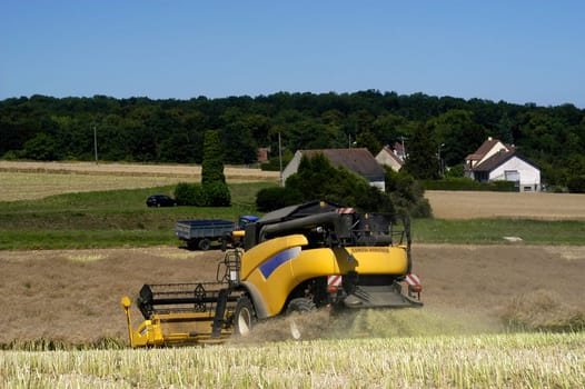 The harvest of colza with machines like a reaping-machine threshing-machine and tractor