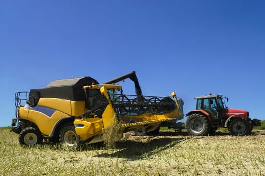 The harvest of colza with machines like a reaping-machine threshing-machine and tractor