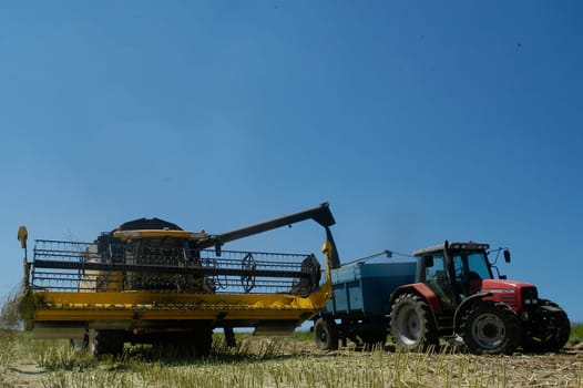The harvest of colza with machines like a reaping-machine threshing-machine and tractor
