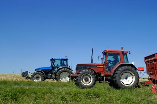 The harvest of colza with machines like a reaping-machine threshing-machine and tractor