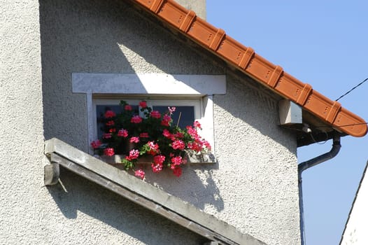 old small house