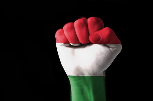Low key picture of a fist painted in colors of hungary flag
