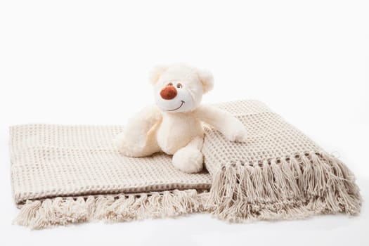 Plush teddy bear