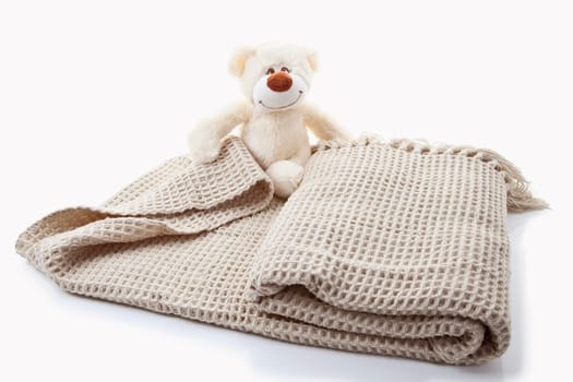 Plush teddy bear