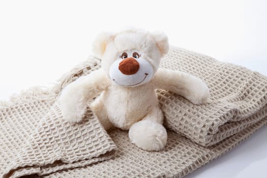 Plush teddy bear