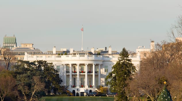 The White House in Washington DC at Christmas as the tree is decorated