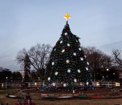 Washington DC national christmas tree with white house in the distance
