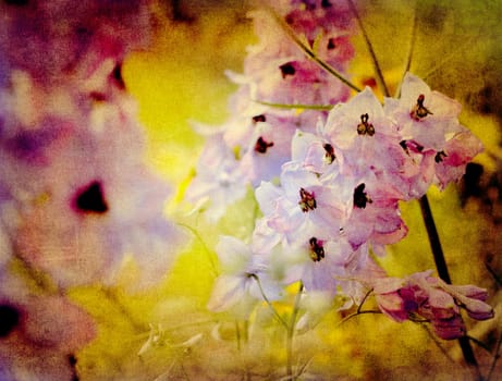 Summer Blooming Larkspur (Delphinium) - Retro Motif