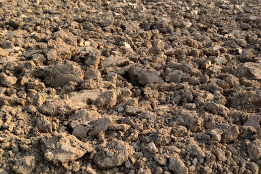 finished ploughed field