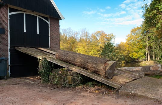 tree trunk ready to be sawn in the old singraven sawmill in Denekamp, Netherlands