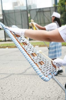 Parade using the bell lyra the music instrument you learned in high school