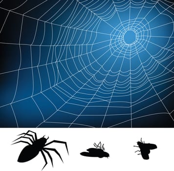 spider web illustration, for background.