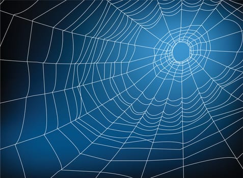 spider web illustration, for background.
