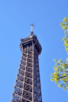 The Eiffel Tower in Paris, france