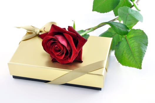A red rose on a golden gift box