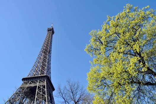 The Eiffel Tower in Paris, France