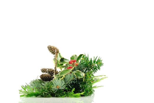 christmas berries