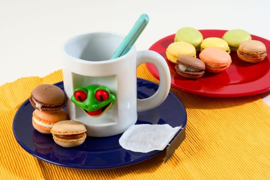 Macaroons in the studio
