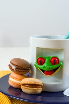 Macaroons in the studio