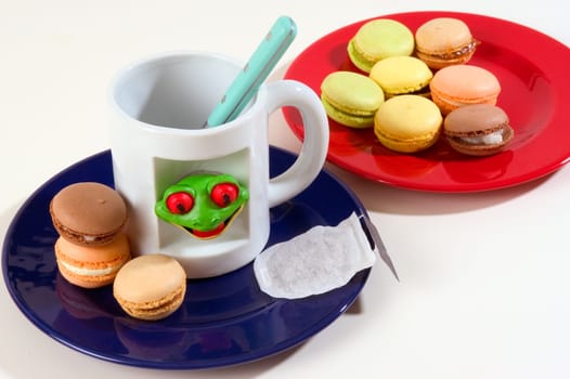 Macaroons in the studio