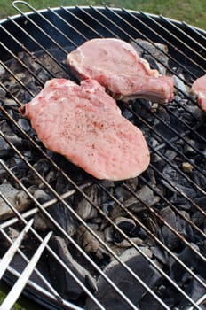 Meat cooking on barbeque