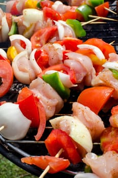Skewers cooking on barbeque
