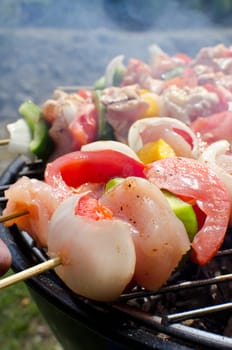Skewers cooking on barbeque