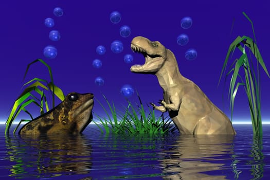 in the garden pond