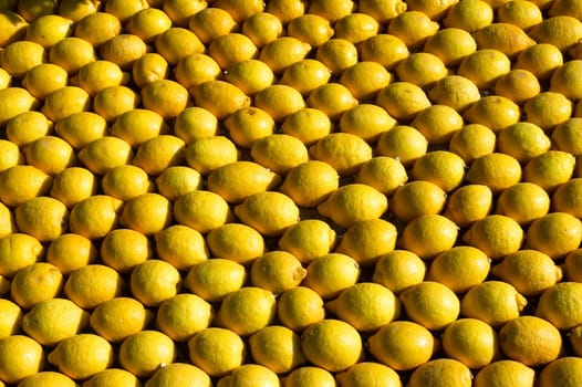 With this occasion the gardens are the theater of construction of monument out of oranges and lemons on a different topic each years.