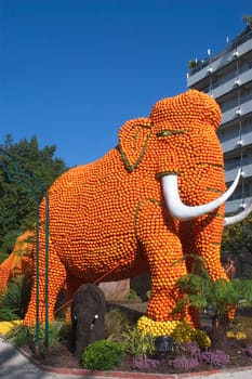With this occasion the gardens are the theater of construction of monument out of oranges and lemons on a different topic each years.