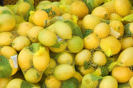With this occasion the gardens are the theater of construction of monument out of oranges and lemons on a different topic each years.