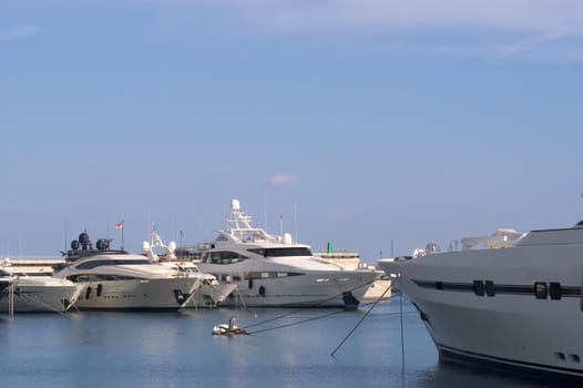 yachts in Monaco Harbour