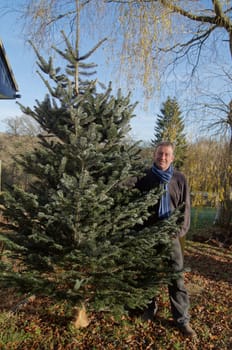 Man bringing in the freshly cut Christmas tree